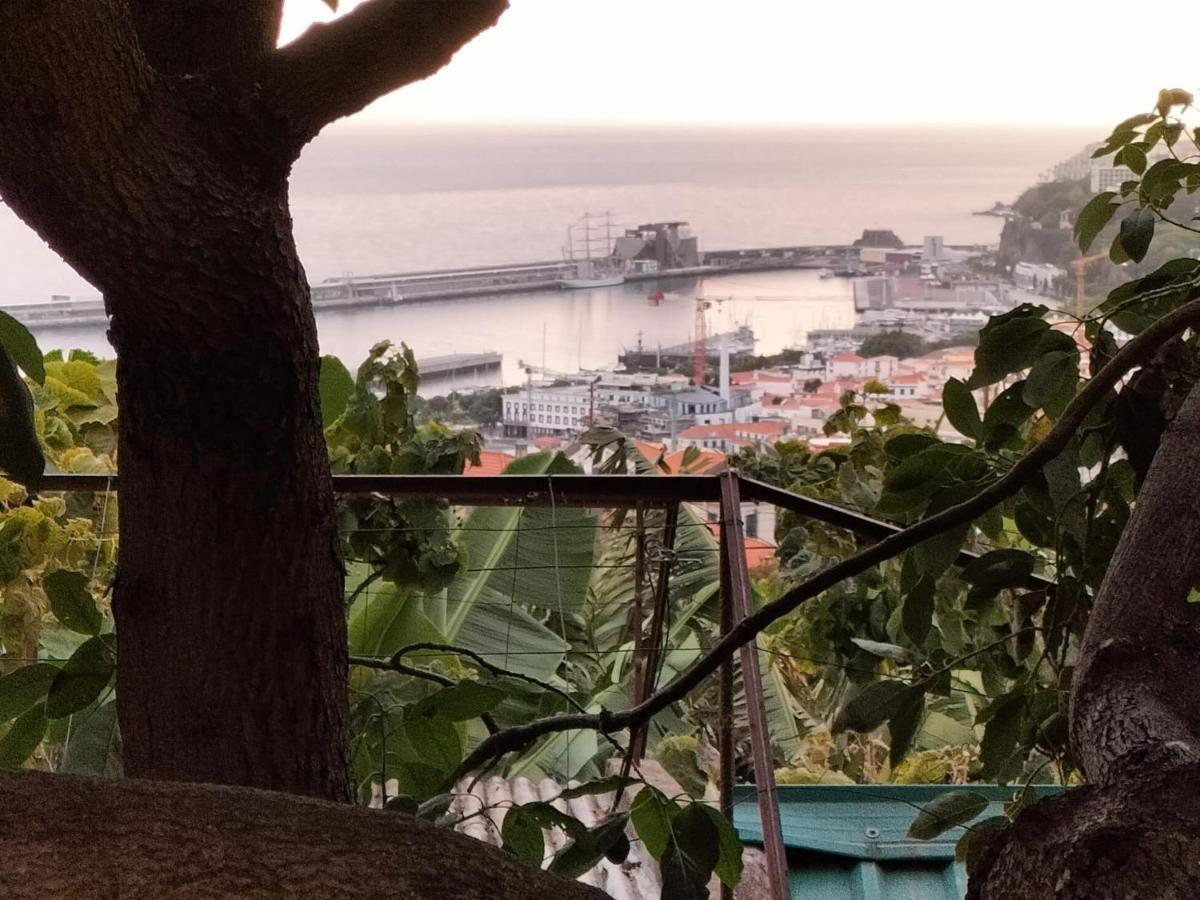 Villa Quintinha Dos Reis Funchal  Exterior foto